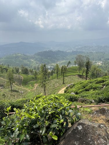 Sri Lanka : l&rsquo;île resplendissante