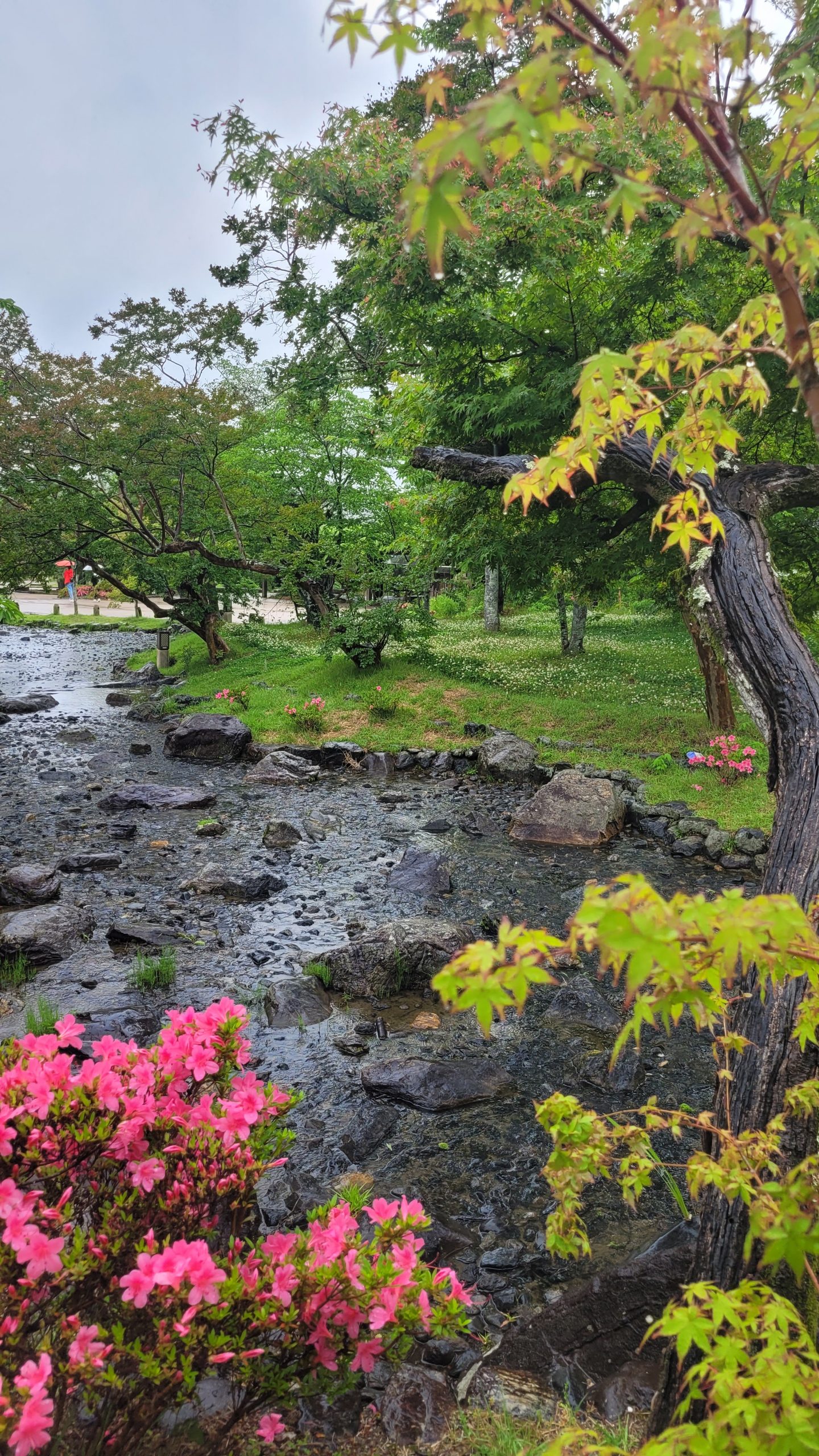 jardin de kyoto vo
